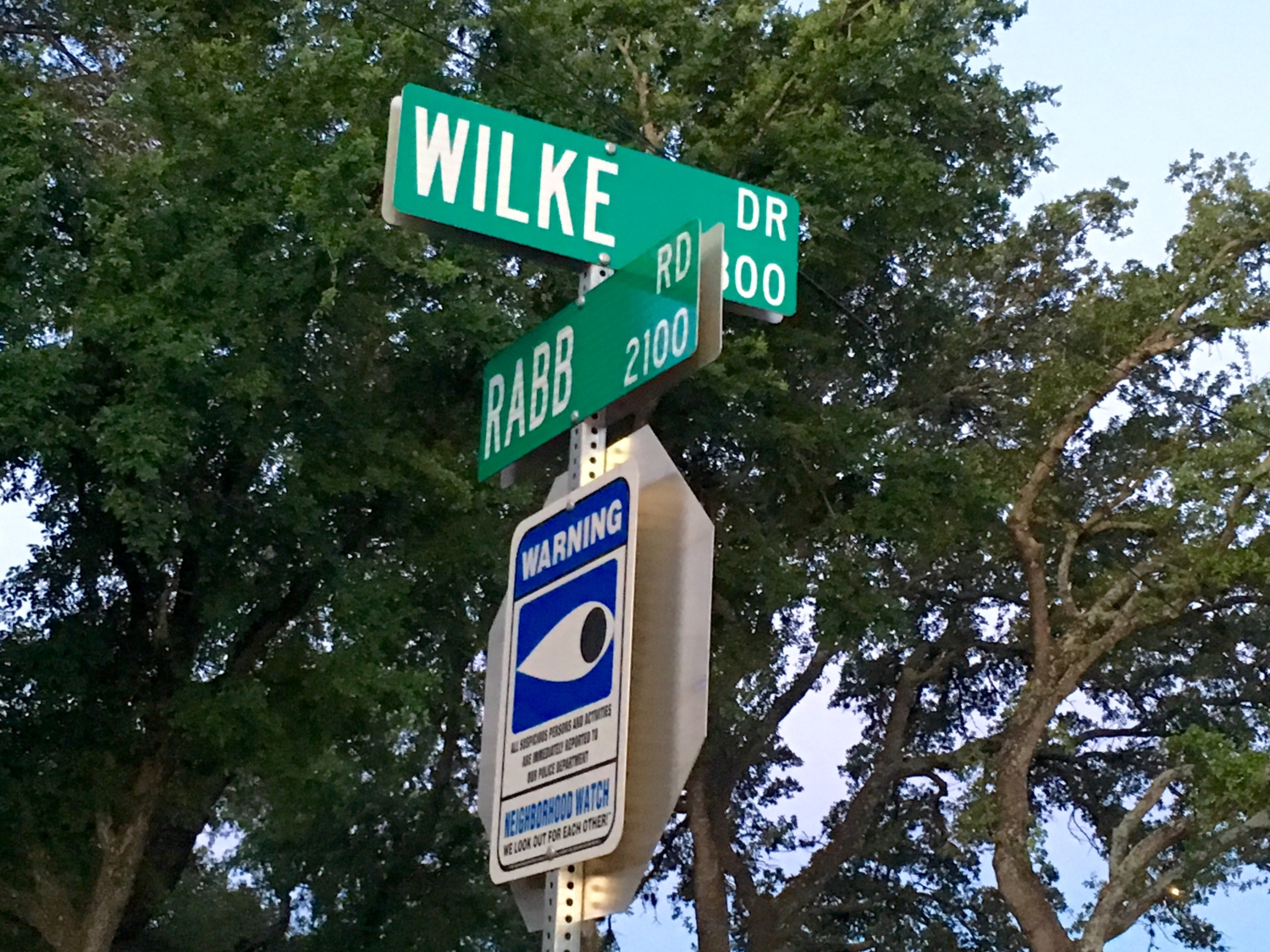 Wilke Drive is one of the High Five Events' staff's favorite Austin hill workout locations.